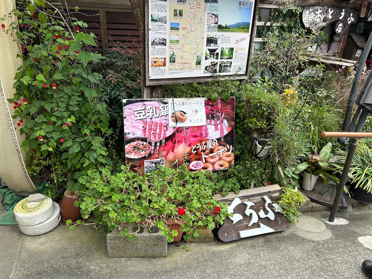 IMG_0220 (1)